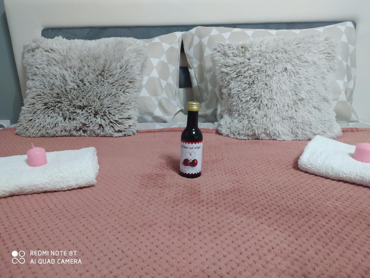Apartman Studio Pavle I Petra Сремски-Карловци Экстерьер фото